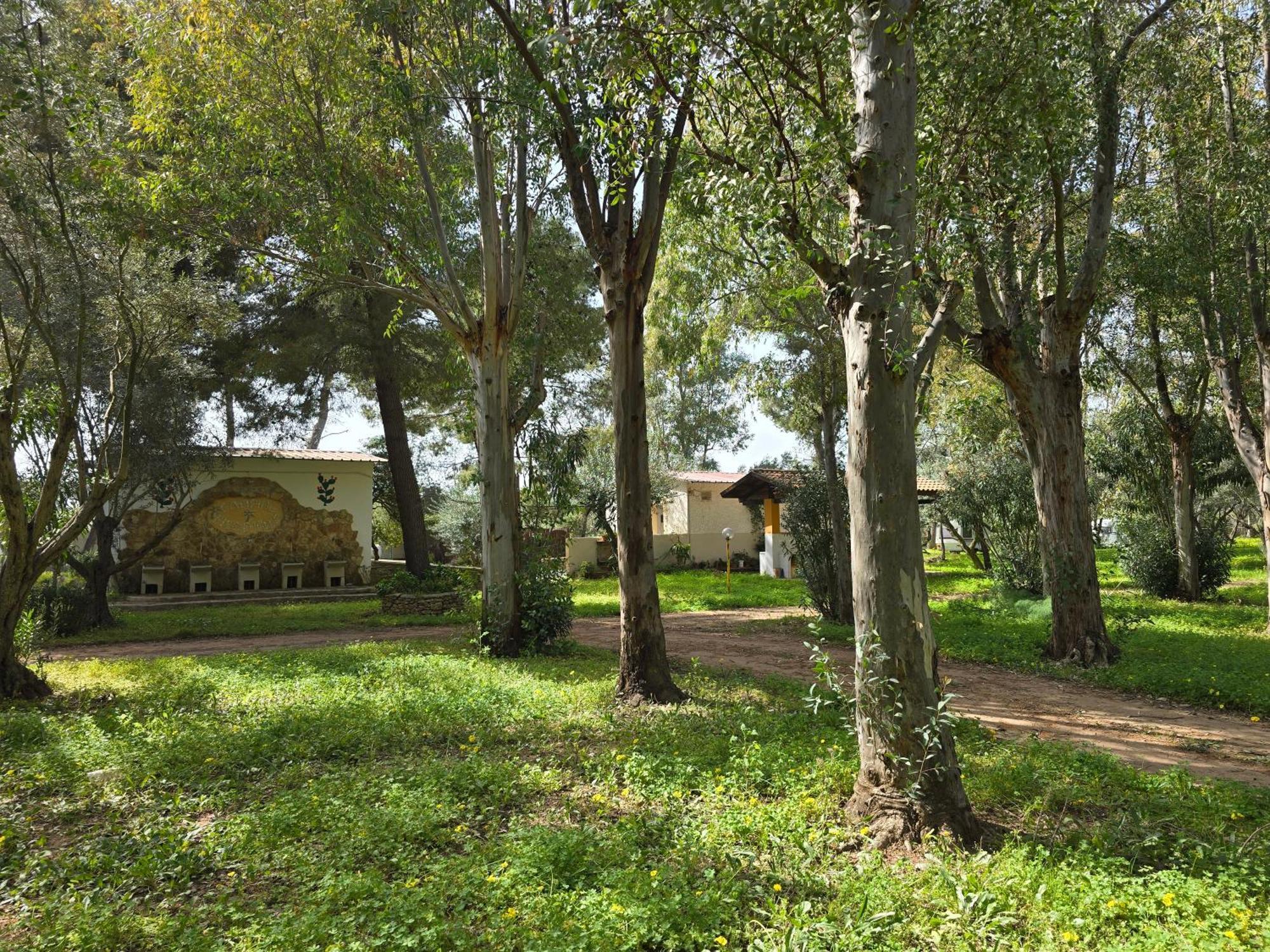 Village Camping Fico D'India Ovile la Marina Eksteriør billede