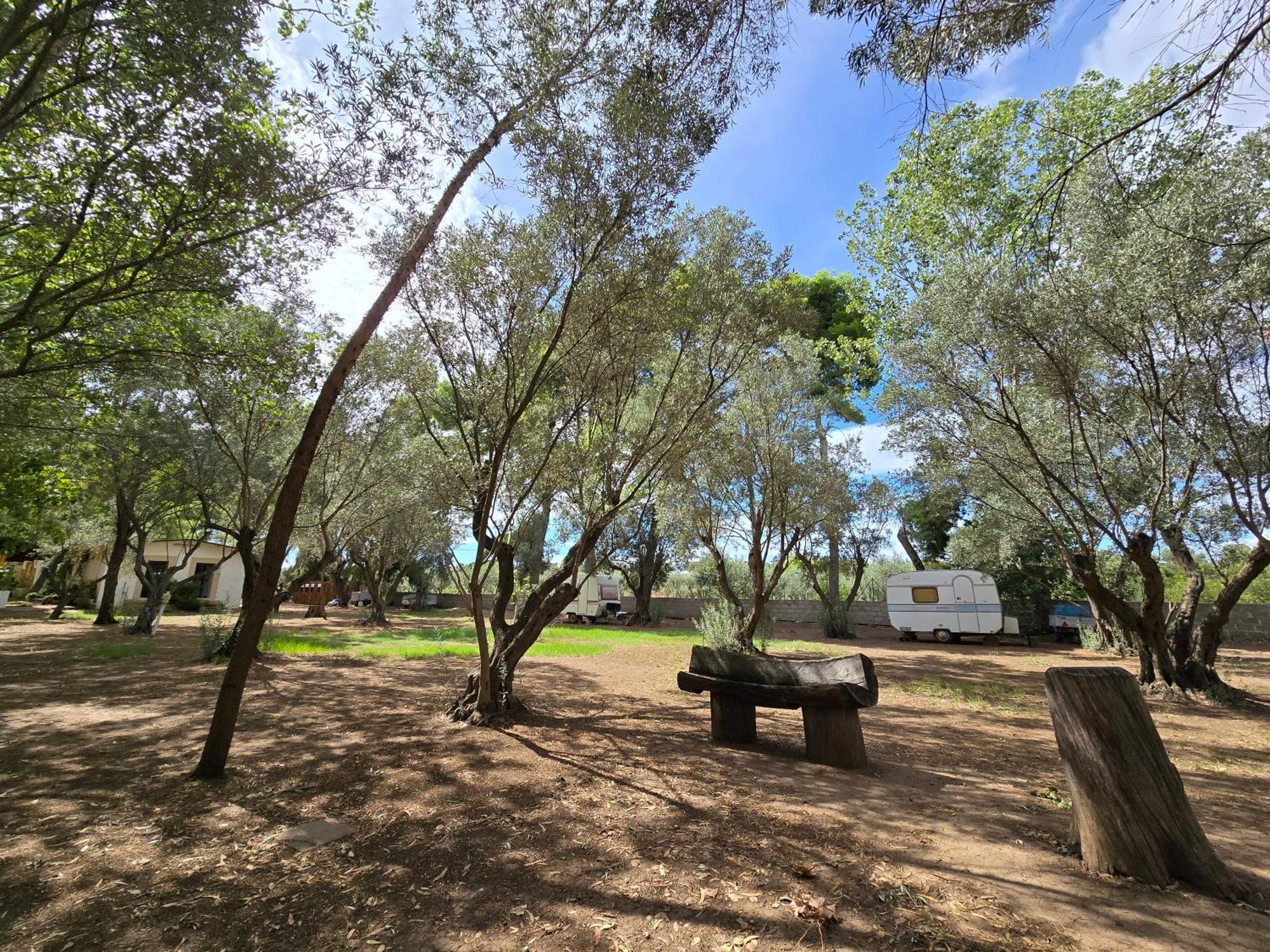 Village Camping Fico D'India Ovile la Marina Eksteriør billede